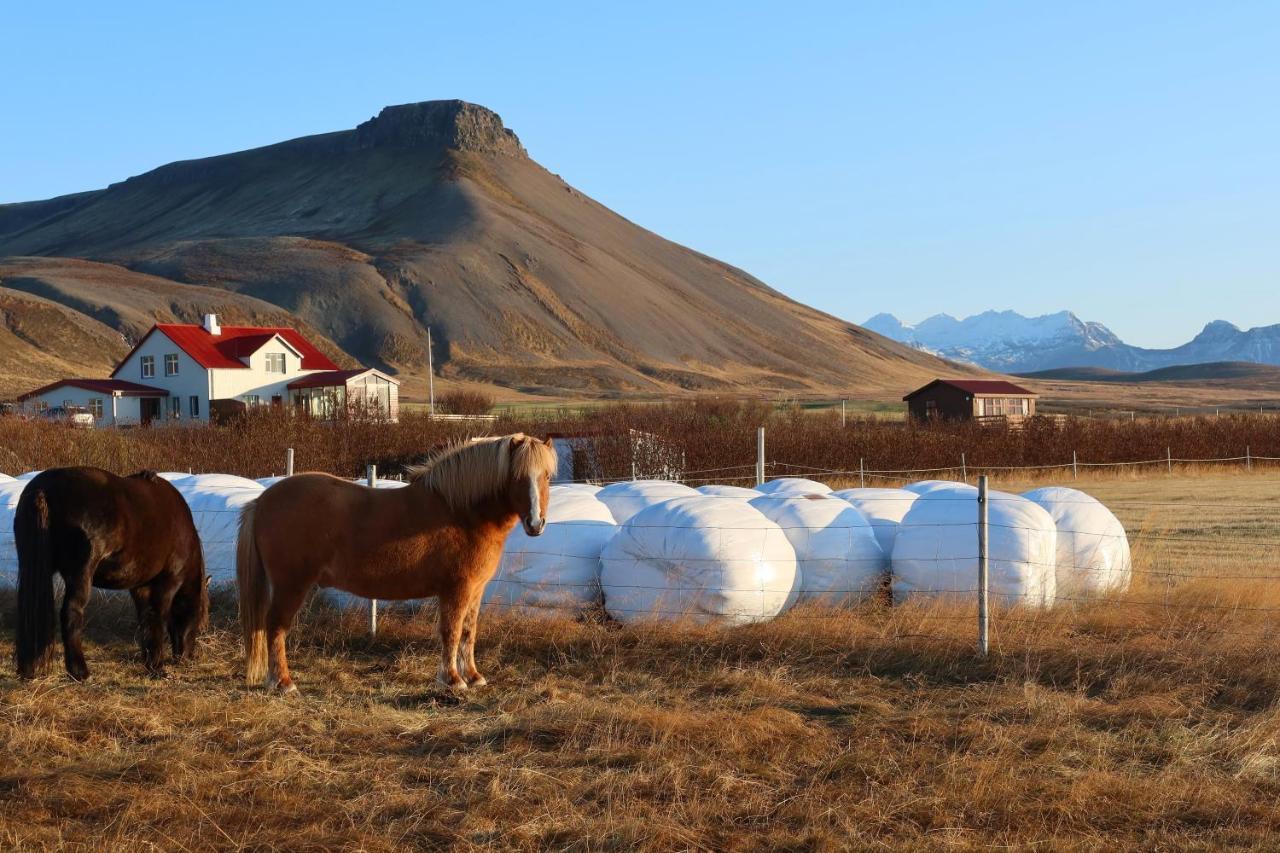 Sudur-Bar Guesthouse Grundarfjordur Bagian luar foto